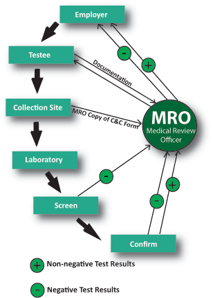 Md. Testing Agent Process Elite Services - Lab Tests Direct to the Public